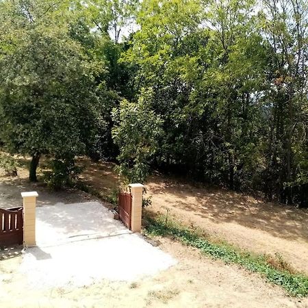 Chalet El Cant Dels Ocells Fillols Esterno foto